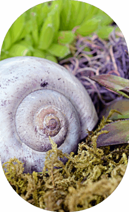 Torsten Breher Garten- und Landschaftsgestaltung