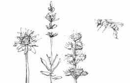 Torsten Breher Garten- und Landschaftsgestaltung