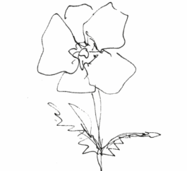 Torsten Breher Garten- und Landschaftsgestaltung